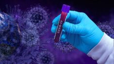 ¿Es COVID-19 un arma biológica? Investigador descifra secuencia genética del virus— Reseña de libro