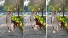 Perro de servicio salta de alegría al ver a su dueña con discapacidad caminar por primera vez en años