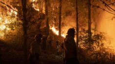 Chile: 336.000 hectáreas arrasadas y 95 incendios sin control, según nuevo informe