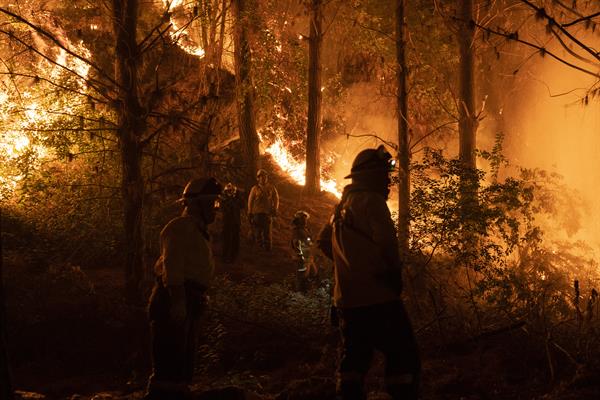 Bomberos realizan labores para extinguir un incendio forestal en la ruta que une Santa Juana y Concepción, en la región del Bio Bio, Chile. EFE/Adriana Thomasa
