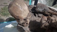 Repartidor a domicilio cargaba momia prehispánica en su mochila en Perú