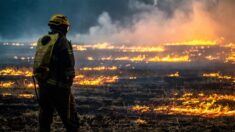 Avance de incendios al sur de Chile obliga a realizar cortes de ruta