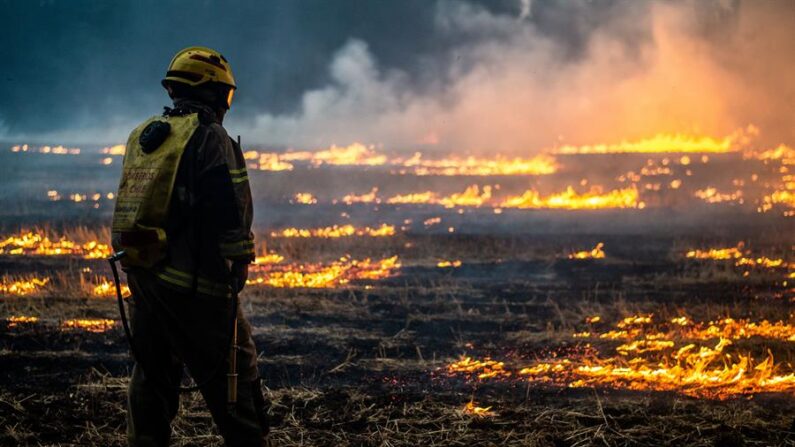 Bomberos intentan apagar un incendio en Ercilla, región de la Araucanía (Chile), el 8 de febrero de 2023. EFE/Camilo Tapia
