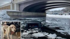 Adolescente y 4 desconocidos rescatan a un hombre y a su perro, su jeep se hundía en lago congelado
