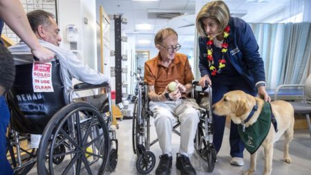 Una perra da afecto a pacientes en rehabilitación de un hospital de Florida