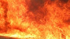 Gran incendio de varios acres estalla cerca de una bodega de Florida