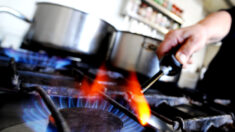 Departamento de Energía impulsa la regulación de las estufas y hornos de gas