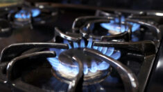 Firmas de servicios públicos de EE.UU. cabildean en el Congreso para mantener legalidad de estufas de gas