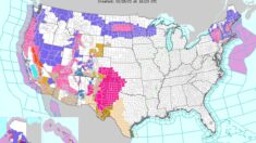 Agencia Federal emite más avisos por una nueva tormenta invernal