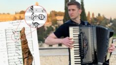 Músico convierte retratos de mascotas en sinfonías para honrar la memoria de sus amigos peludos