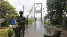 Guerrilla embosca y mata a seis militares colombianos en el Catatumbo