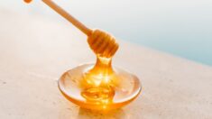 La dulce verdad: ¿Es la miel una alternativa más saludable que el azúcar?