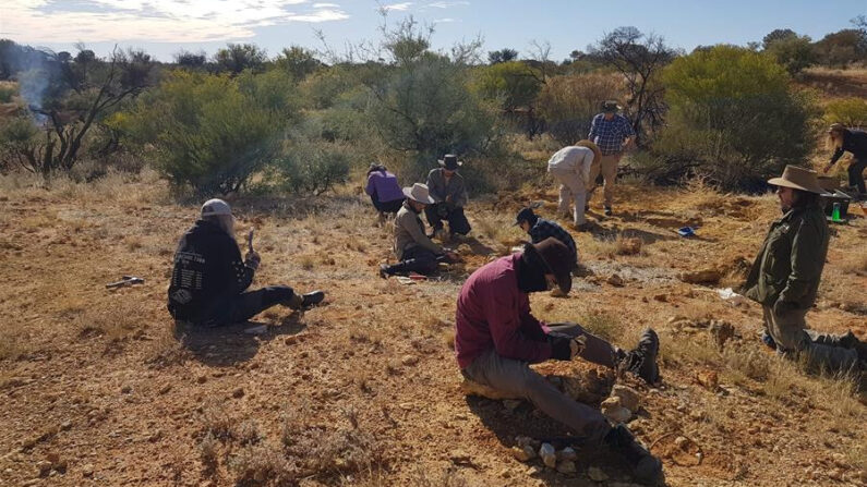 Científicos australianos hallaron los fósiles de una rara zarigüeya y un extraño pariente de wómbat, dos marsupiales únicos y extintos que se cree poblaron la zona continental de Australia hace 25 millones de años. EFE/Universidad de Flinders en Australia