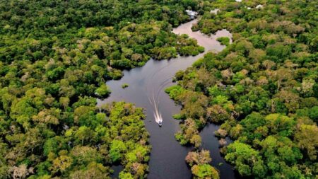 Enfoque de Lula sobre deforestación amazónica se basa en “viejos esquemas de corrupción”, dicen analistas