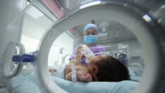 Experto: Sustracción de riñones a bebés chinos alerta sobre «máquina de producción» de órganos del PCCh