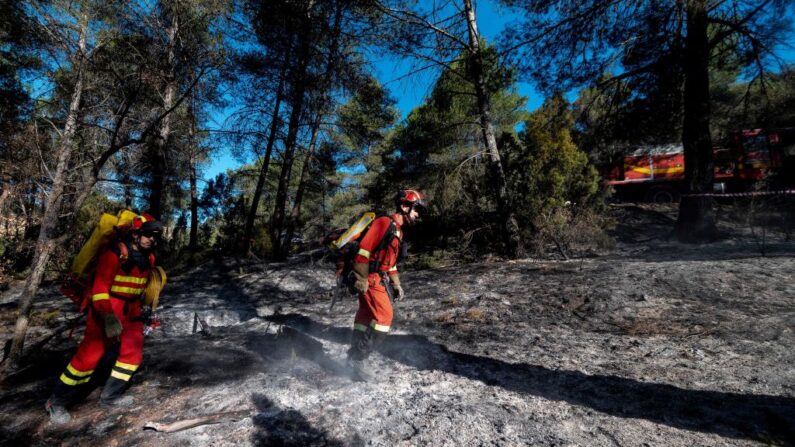 Bomberos caminan en una zona forestal quemada por un incendio forestal que comenzó el 23 de marzo, en Fuente de la Reina, cerca de Castellón (España), el 29 de marzo de 2023. (Jose Jordan/AFP vía Getty Images)