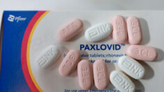 El Paxlovid no es eficaz  contra el «COVID largo», según un estudio