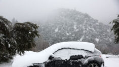 Residentes atrapados bajo nieve en montañas de California piden ayuda y dicen estar aterrorizados