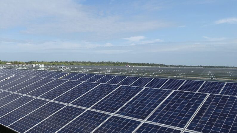 Un parque solar en construcción en Punta Gorda, Florida, el 22 de abril de 2016. (Kerry Sheridan/AFP vía Getty Images)