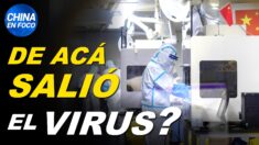 Departamento de Energía de EE.UU. concluye de dónde pudo salir el virus