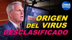 Promulgan ley para liberar información de inteligencia sobre el origen del virus