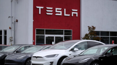 Planes de Tesla para motor sin tierras raras podrían socavar el arma secreta de Beijing
