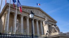 Gobierno de Macron afrontará dos mociones de censura por la reforma de pensiones