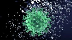 Todas las vacunas son peores que la inmunidad natural contra COVID: Revisión sistemática y metaanálisis