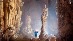 Exploradores llegan a cueva irreal hasta ahora desconocida en la profundidad de la selva: «Otro mundo»