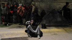 ONG venezolana denuncia ante organismos de DDHH muerte de migrantes en México