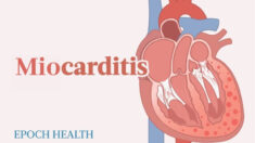 Guía esencial de la miocarditis: Síntomas, causas, tratamientos y otros remedios