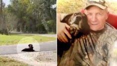 Muere leal perro que esperó durante 7 años a su dueño en la entrada de su casa: “Ya se reunió con él”
