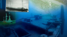 Investigadores oceánicos hallan naufragio del siglo XIX “congelado en el tiempo”