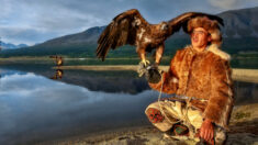 Cazadores mongoles y sus águilas reales: Magníficas fotos de este patrimonio vivo