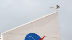 Observatorio: El gasto de la NASA es “insostenible” si EE.UU. quiere regresar a la Luna y a Marte