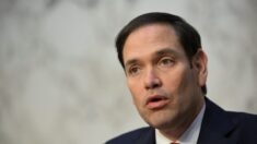 Senadores instan a embajadora de EEUU a denunciar informe de la ONU que, dicen, apoya a los «pedófilos»