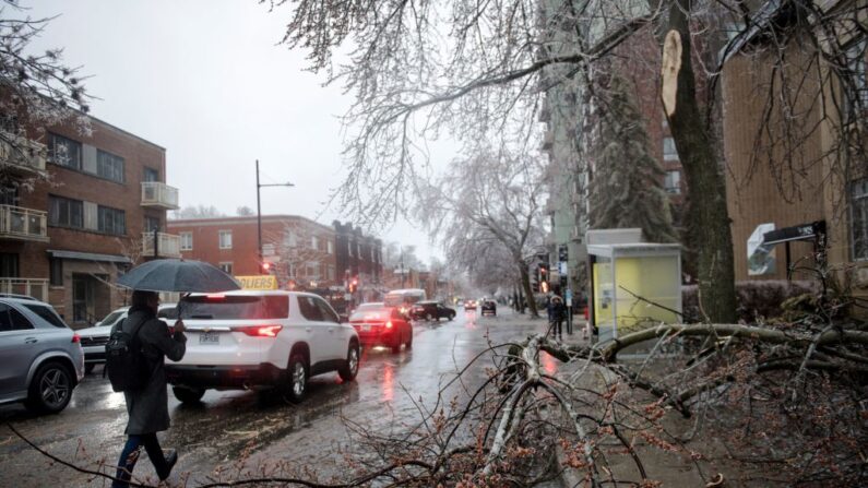 Ramas de árboles y cables de electricidad caídos en Monkland Village después que una tormenta helada golpeara partes de Quebec y Ontario en Montreal, Canadá, el 5 de abril de 2023. (ANDREJ IVANOV/AFP vía Getty Images)
