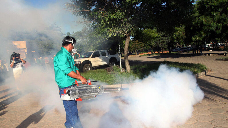 Un trabajador municipal fumiga a lo largo de una calle contra los mosquitos, en Santa Cruz, este de Bolivia, el 27 de febrero de 2009. (STR/AFP vía Getty Images)