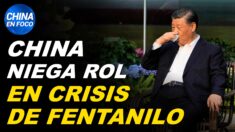 China dice que no tiene nada ver con la crisis de fentanilo que golpea a EE.UU. Mueren miles