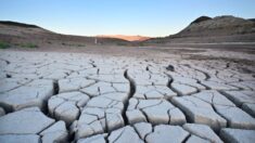 Admin. Biden propone reducir suministro de agua de cuenca del río Colorado en medio de la sequía
