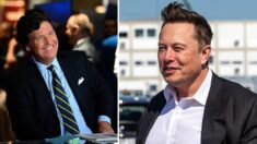 Elon Musk responde a rumores sobre Tucker Carlson
