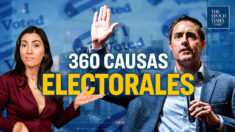 630 personas acusadas por estafa electoral; proyecto de ley que reforma estudio de datos electorales