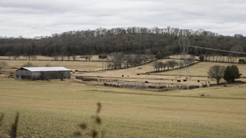 Tierras de cultivo en el condado de Wilson, Tennessee, el 10 de enero de 2018. (Samira Bouaou/The Epoch Times)
