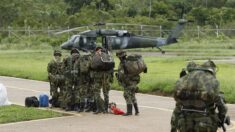 Posibilidad de que disidencias de FARC tengan a niños perdidos tras accidente es «nula»
