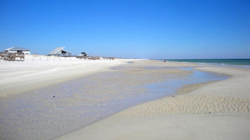 Fotografía divulgada por Dr. Beach donde se aprecia una vista de la playa del parque estatal de la isla St. George, en la costa floridana del Golfo de México (EE.UU.). EFE/Dr. Beach