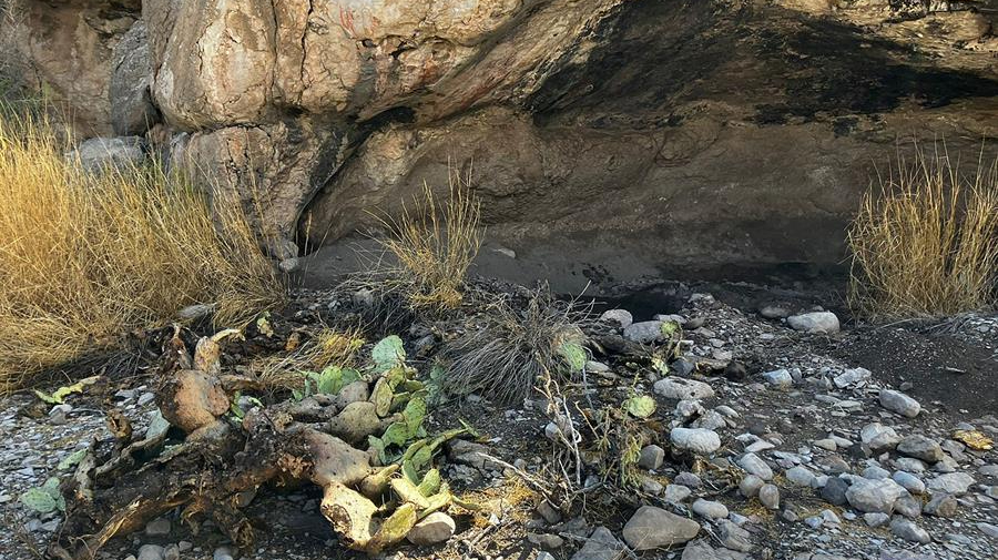Autoridades mexicanas interponen demanda por saqueo en sitio arqueológico