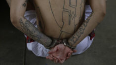 Arrestan a 17 miembros de la Mara Salvatrucha en Los Ángeles por tráfico de droga