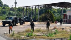 Ejército mexicano abate a ocho sicarios en estado de Michoacán
