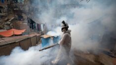 Los hospitales de región norteña de Perú están al borde del colapso por casos de dengue