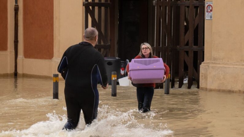 Una residente transporta un gato en una calle inundada de la ciudad de Lugo el 18 de mayo de 2023, después de que las fuertes lluvias provocaran inundaciones en la región de Emilia Romagna, en el norte de Italia. (Federico Scoppa/AFP vía Getty Images)
